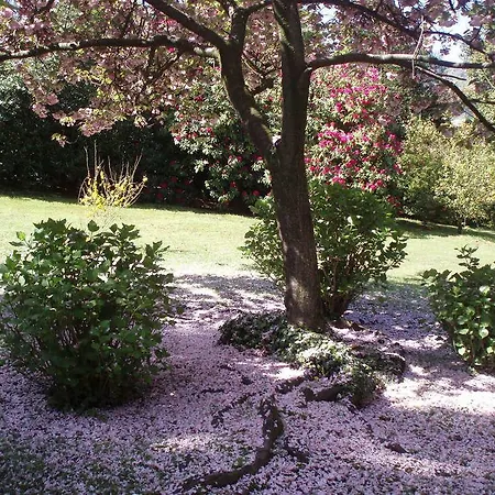 Du Parc Hotel 2*