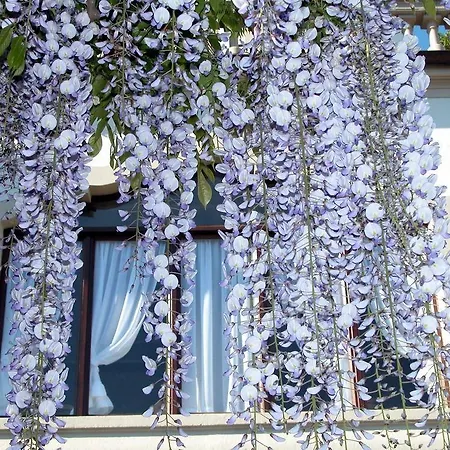 Du Parc فندق 2*