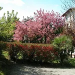 Hotel Du Parc Lake Maggiore