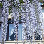 Du Parc Hotel 2*
