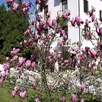 Hotel Du Parc Lake Maggiore