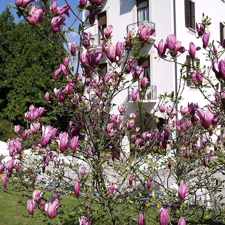 Ξενοδοχείο Du Parc Lake Maggiore